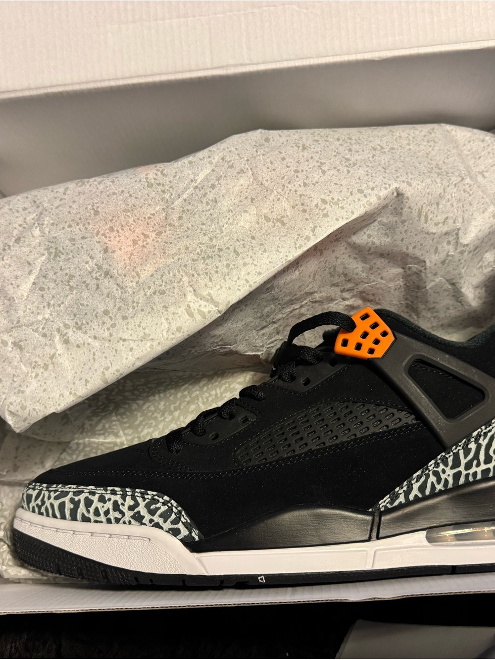Jordan spizike 12